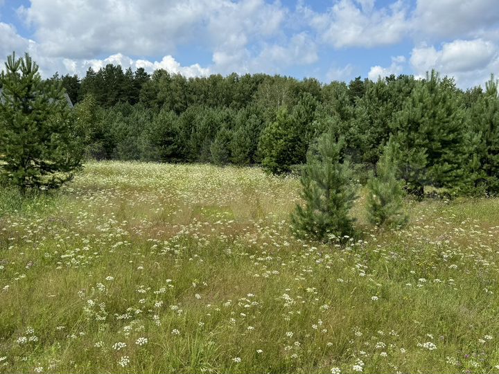 Участок 10,1 сот. (СНТ, ДНП)