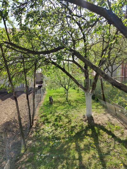 Дом 156 м² на участке 13 сот.