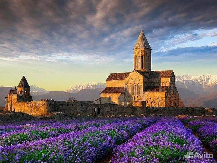 Экскурсия — Тбилиси — По Кахетии с кахетинцем