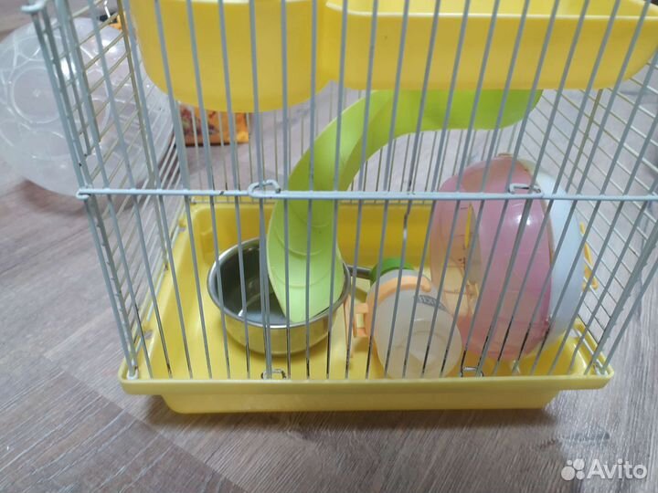 Клетка для джунгарского хомяка