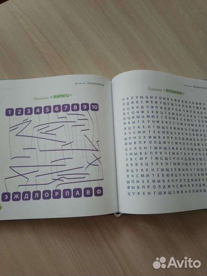 Книга Шамиля Ахмадуллина 