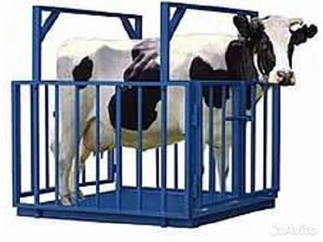 Весы для взвешивания животных