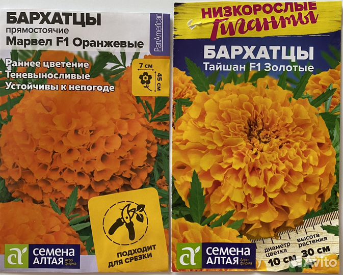 Рассада бархатцев прямостоячих Тайшан и Марвел