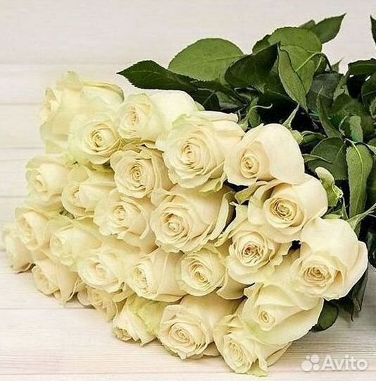 Высокие Розы Гиганты Доставка Круглосуточно