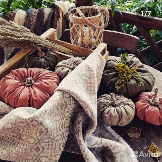 Декоративные тыквы