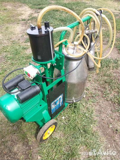 Доильный аппарат