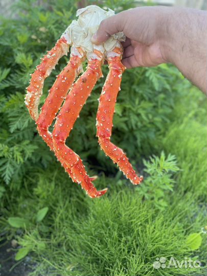 Краб камчатский