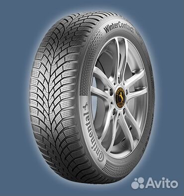 Continental ContiWinterContact TS 870 205/60 R16 92T