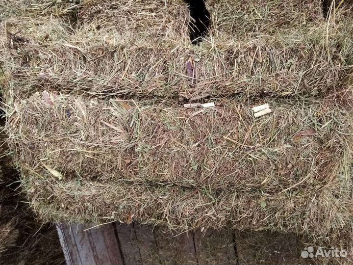 Продам сено