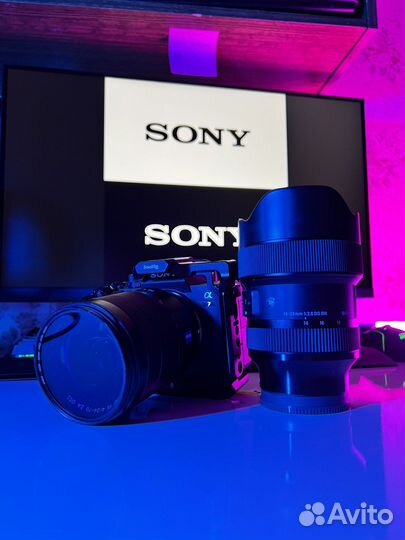 Аренда Sony a7IV объектив Sony 24-70,Ronin S