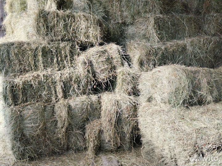 Сено в тюках