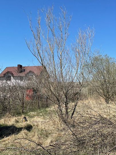 Участок 6,5 сот. (СНТ, ДНП)