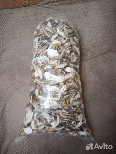 Белые грибы