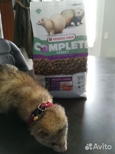 Корм для хорьков Versele-Laga Complete Ferret