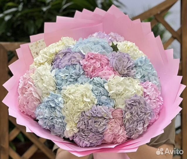 Гортензия, Букеты с розами,гортензиями цветы