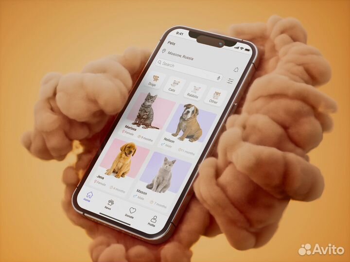 Создание сайтов на Тильда Tilda