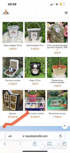 Кролик минилоп