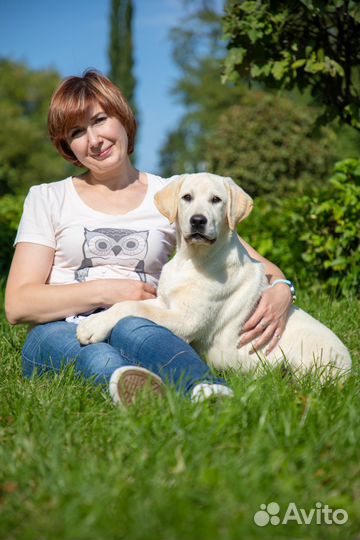 Зоогостиница/передержка для собак 