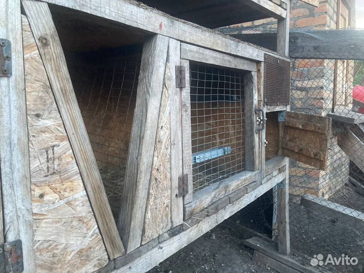 Клетки для кроликов