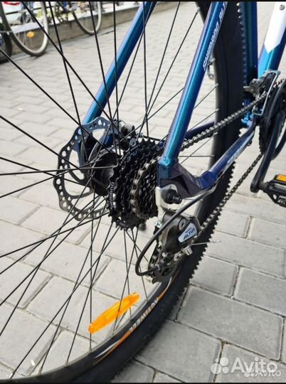 Actiwell pro grandtour 27 5