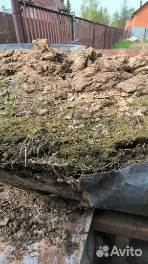 Навоз коровий домашний