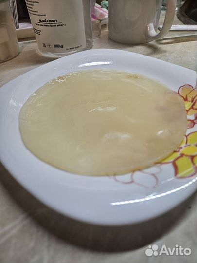 Чайный гриб (комбуча)