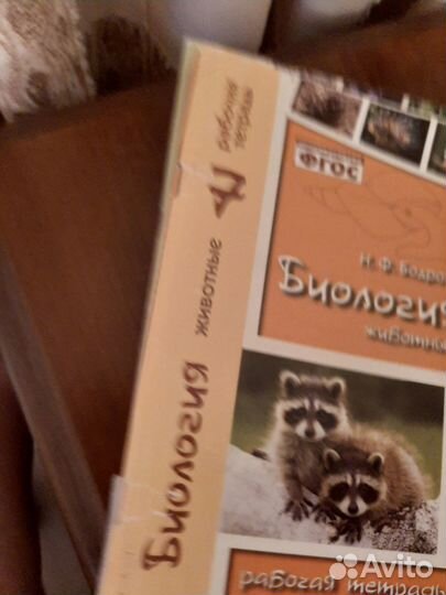 Книги 7 класс