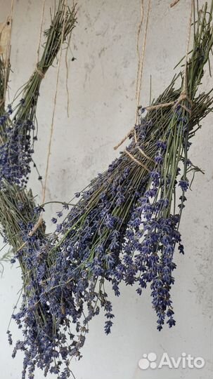 Пучки сухой лаванды (лаванда сухая)
