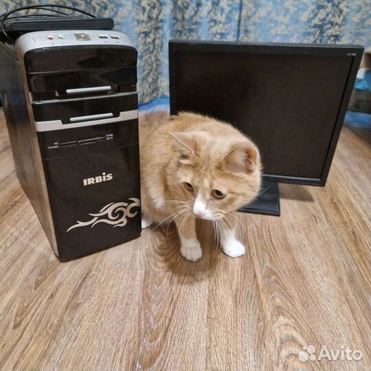 Компьютер
