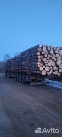 Пиловочник