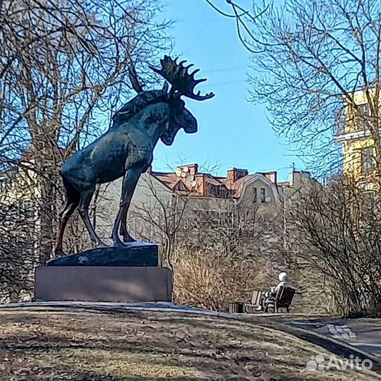Гид экскурсовод по городу Выборг
