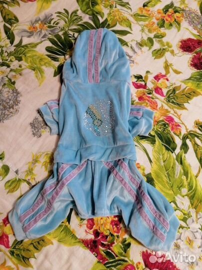 Костюмы для собаки