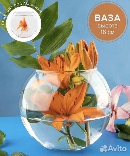 Аквариум для рыбок круглый