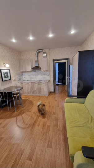 Квартира-студия, 26,6 м², 3/24 эт.