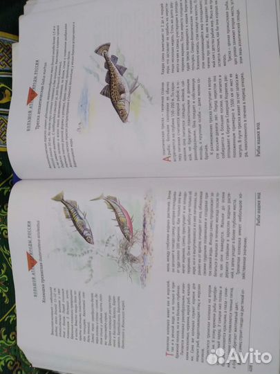 Большой Атлас Природы России