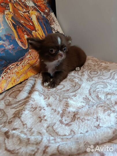 Супер Джейк