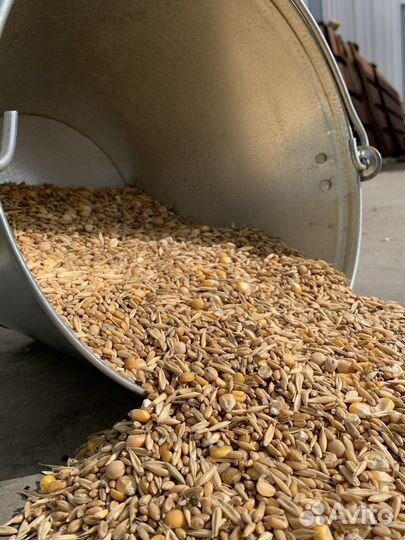 Зерносмесь для сельхоз животных