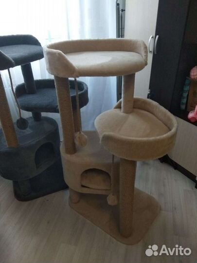 Когтеточка