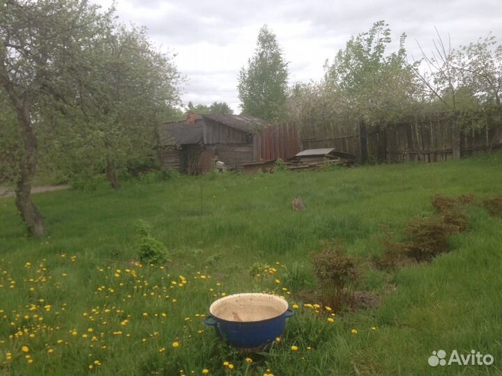 Покос травы