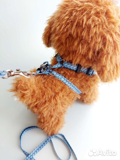 Поводок шлейка для кошек собак кроликов