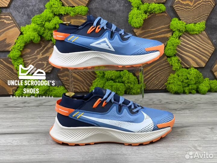 Кроссовки Nike Pegasus Trail 2