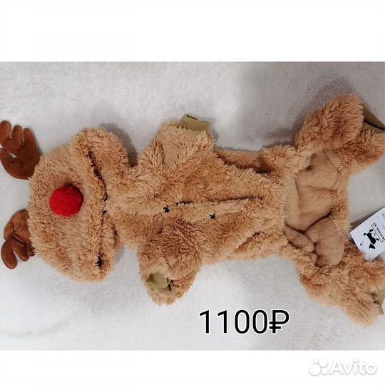 Одежда для собак