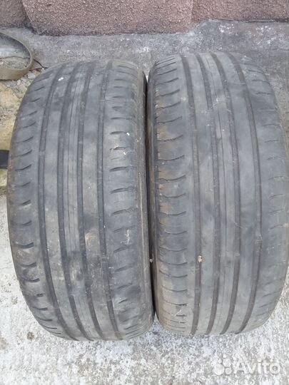 Collins Winter Extrema 205/55 R16 67M