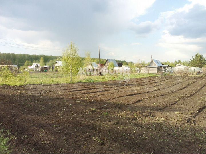 Участок 8 сот. (СНТ, ДНП)
