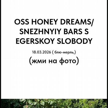 Шелти, щенок