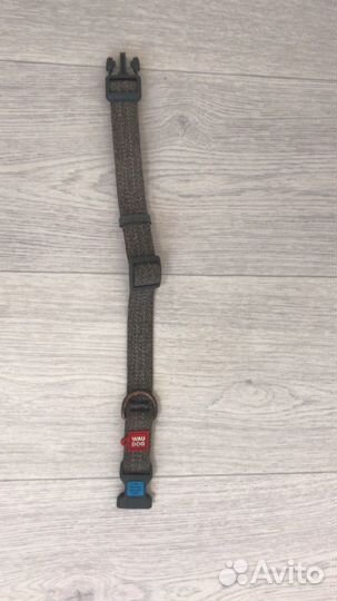 Амуниция для собак