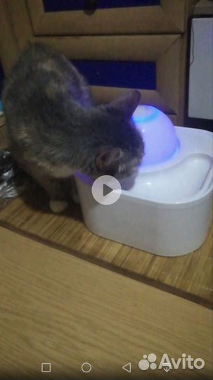 Электронная поилка -фонтанчик д/кошек