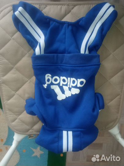 Одежда для маленьких собак