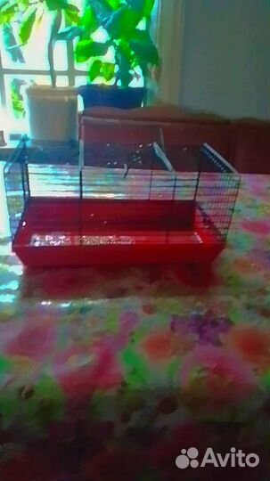 Клетка для грызунов