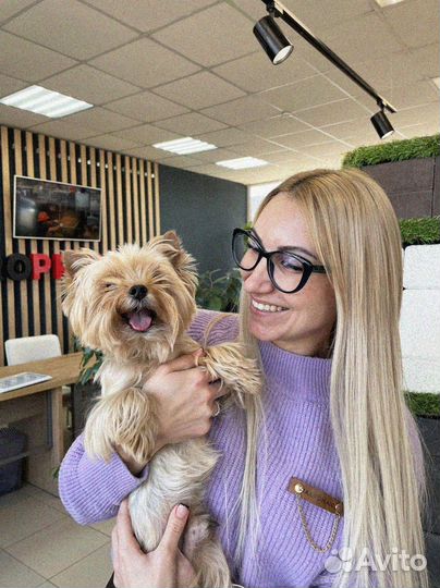 Брусчатка от производителя заказ от 120 м2